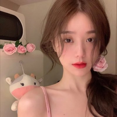 小黄狗的窝