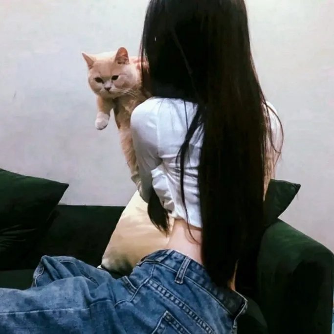 新：追龙