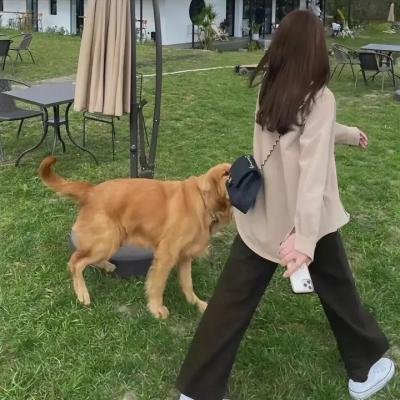 伊凡的冒险生活